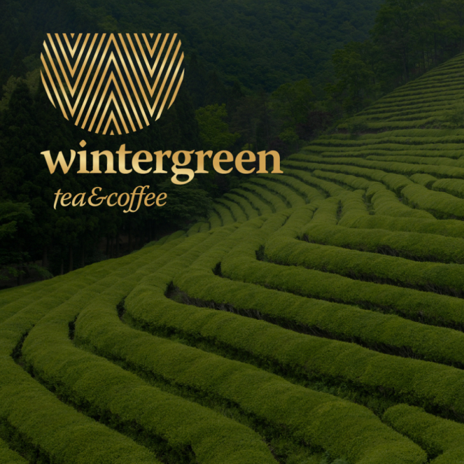 Как выбрать идеальный кофе и чай для вашего бизнеса? Wintergreen tea&coffee знает ответ!